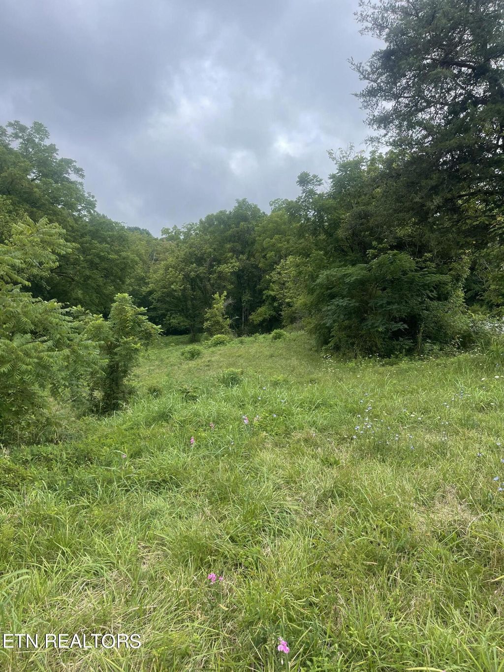 Photo of Hinds Creek Rd Rd, Maynardville, TN 37807 (MLS # 1270900)