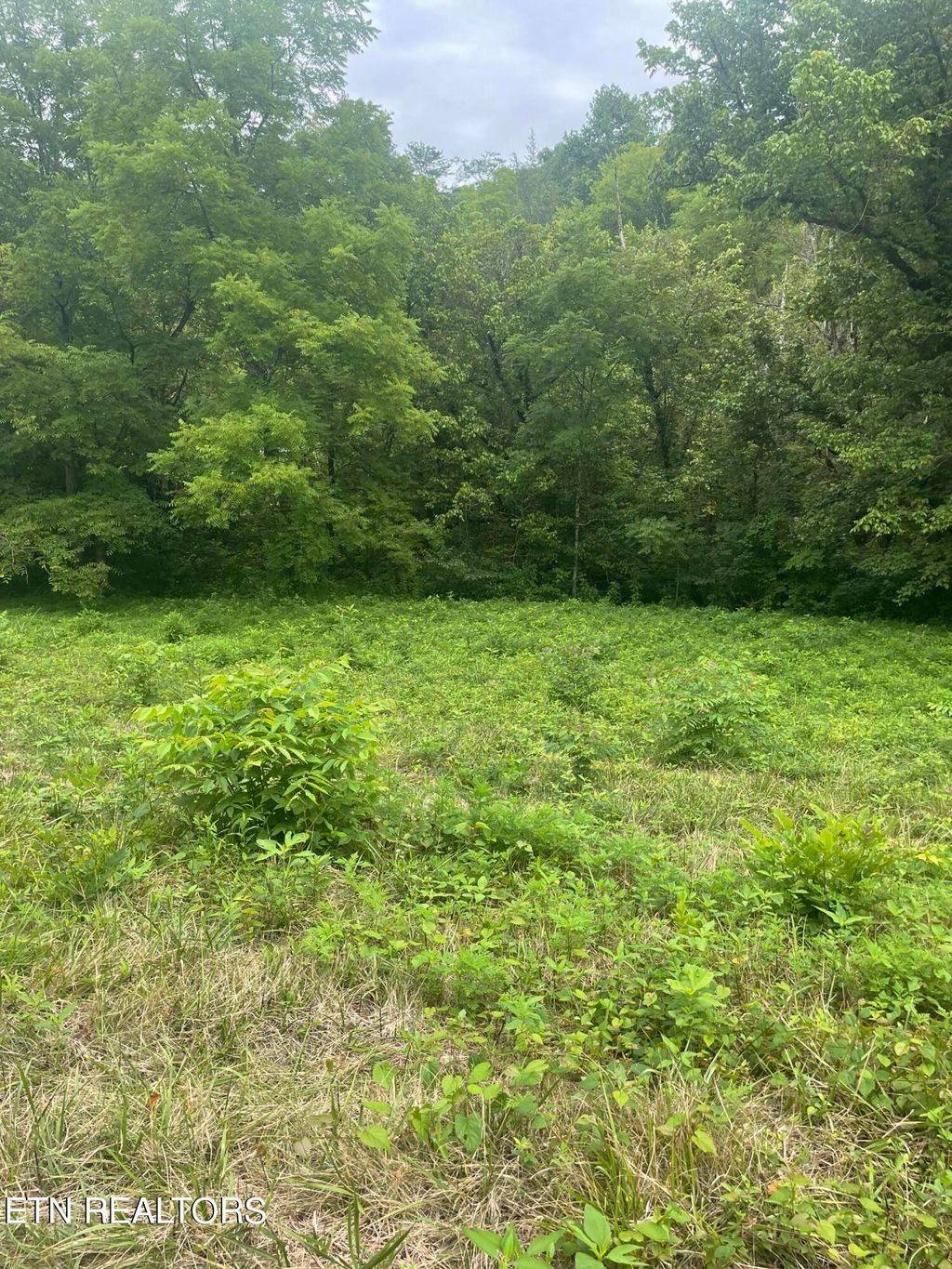 Photo of Hinds Creek Rd Rd, Maynardville, TN 37807 (MLS # 1270900)