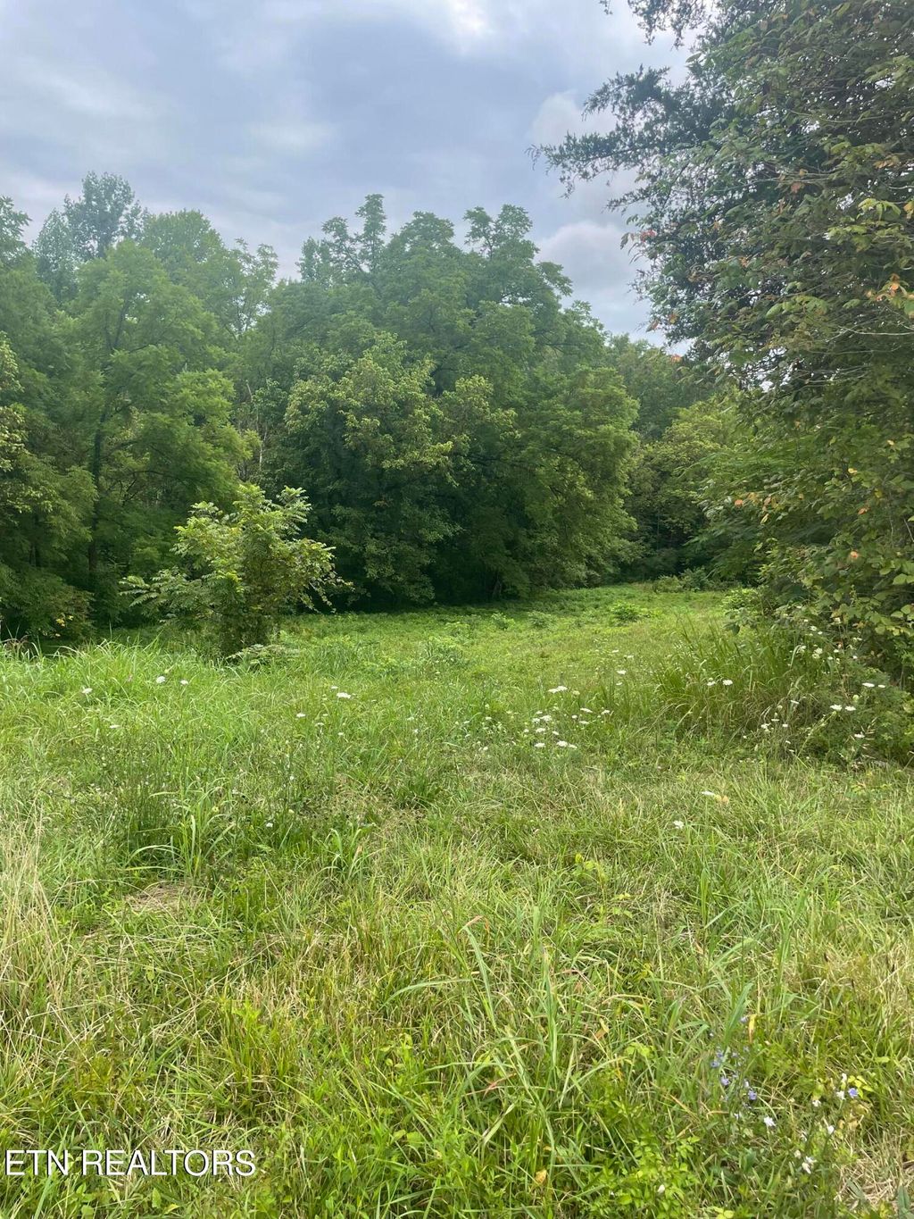 Photo of Hinds Creek Rd Rd, Maynardville, TN 37807 (MLS # 1270900)