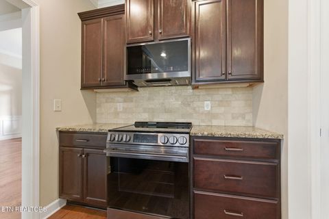 Tiny photo for 1101 Ansley Woods Way, Knoxville, TN 37923 (MLS # 1335578)