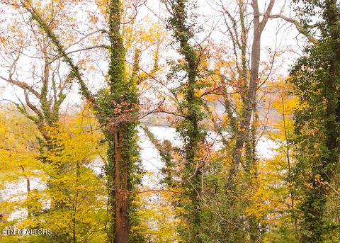 Tiny photo for 23650 Quiet Side Lane, Knoxville, TN 37920 (MLS # 1321495)