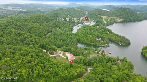 Tiny photo for Lot 17 Mountain Shores Rd, New Tazewell, TN 37825 (MLS # 1330174)
