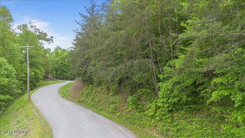 Tiny photo for Lot 17 Mountain Shores Rd, New Tazewell, TN 37825 (MLS # 1330174)