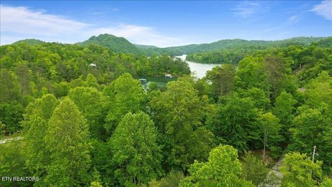 Tiny photo for Lot 17 Mountain Shores Rd, New Tazewell, TN 37825 (MLS # 1330174)