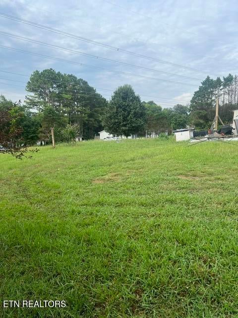 Photo of 180 Hamil Rd, Friendsville, TN 37737 (MLS # 1347706)