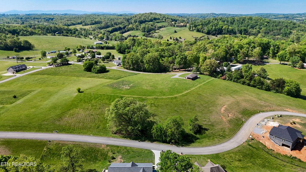 Photo of 6350 Turners Pond Tr, Russellville, TN 37860 (MLS # 1306916)