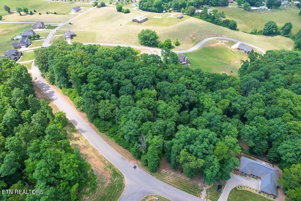 Photo of 6350 Turners Pond Tr, Russellville, TN 37860 (MLS # 1306916)