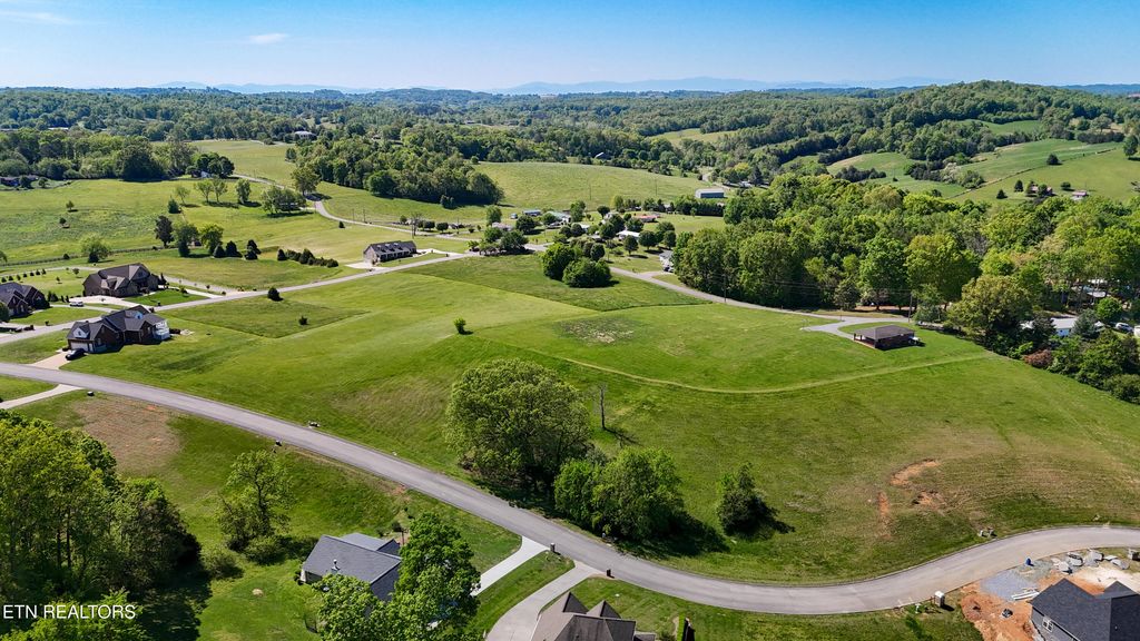 Photo of 6350 Turners Pond Tr, Russellville, TN 37860 (MLS # 1306916)