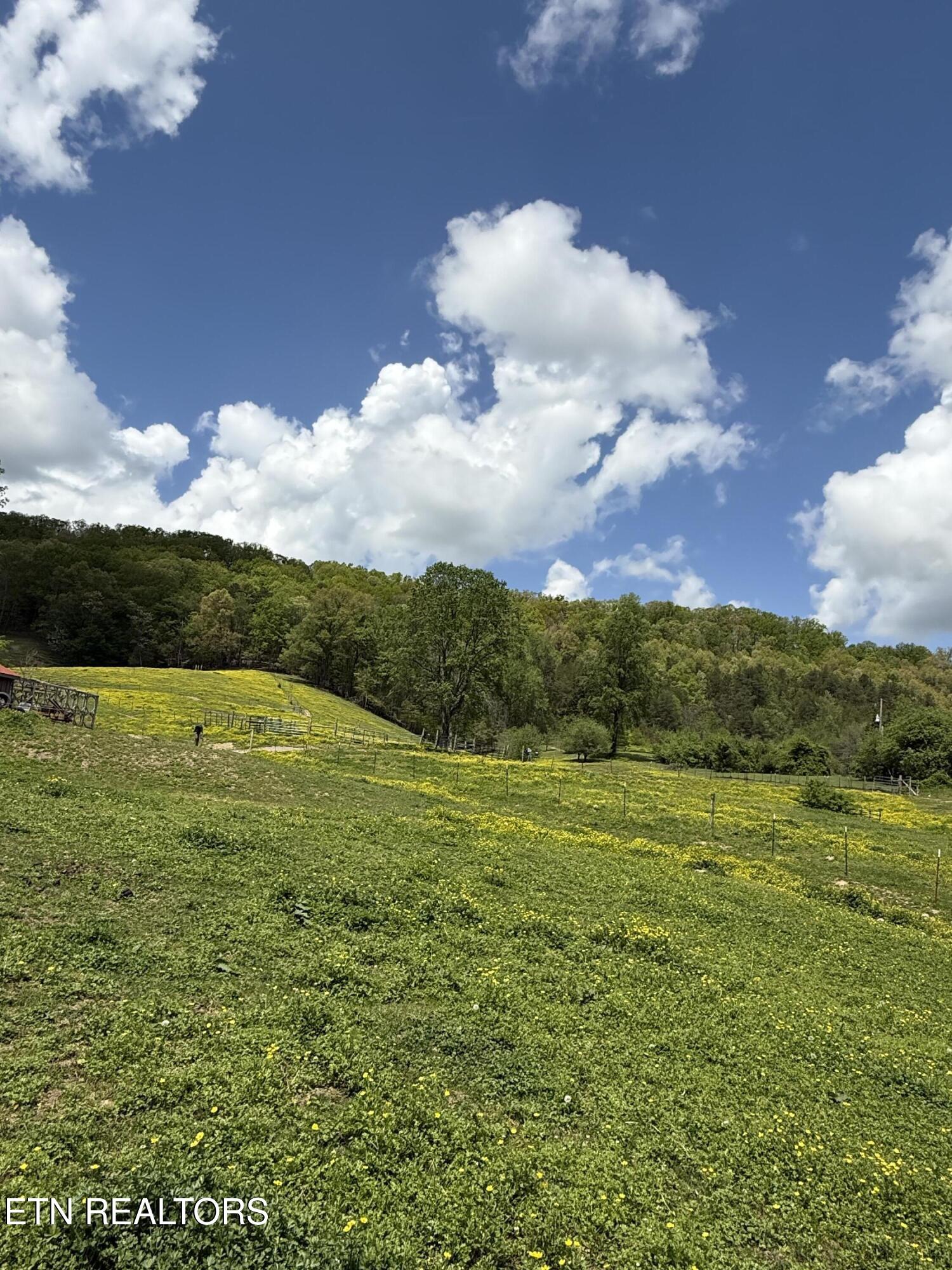 3427 Tater Valley Rd