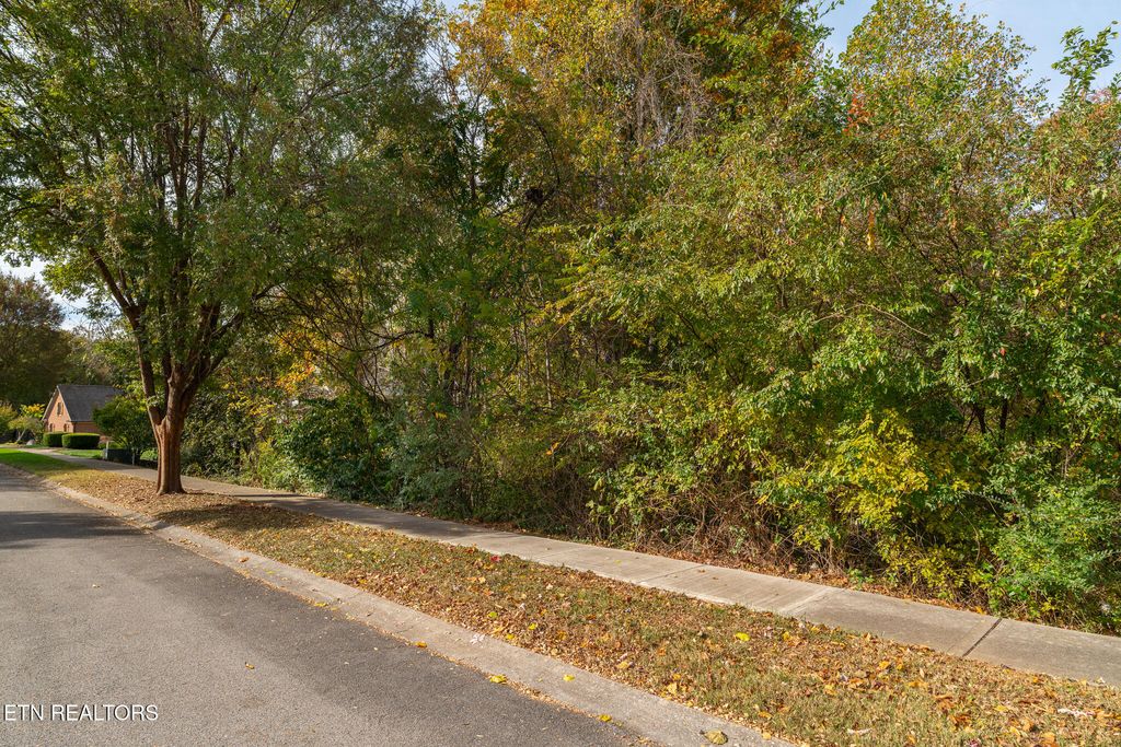 Photo of 865 Belle Grove Rd, Knoxville, TN 37934 (MLS # 1320177)