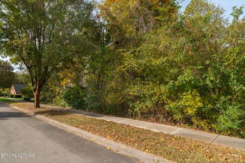 Photo of 865 Belle Grove Rd, Knoxville, TN 37934 (MLS # 1320177)