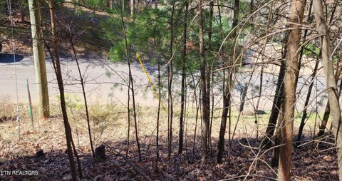 Tiny photo for 223 Burning Oaks Drive, Sevierville, TN 37876 (MLS # 1331447)