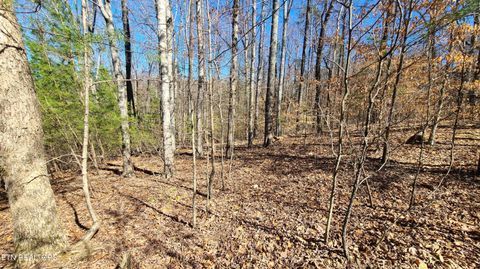 Tiny photo for 223 Burning Oaks Drive, Sevierville, TN 37876 (MLS # 1331447)