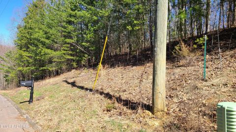 Tiny photo for 223 Burning Oaks Drive, Sevierville, TN 37876 (MLS # 1331447)