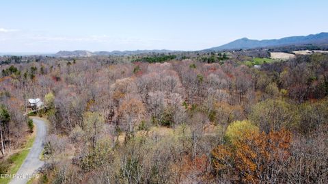 Tiny photo for 223 Burning Oaks Drive, Sevierville, TN 37876 (MLS # 1331447)