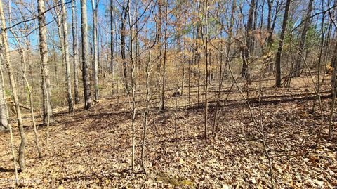 Tiny photo for 223 Burning Oaks Drive, Sevierville, TN 37876 (MLS # 1331447)