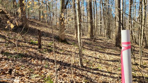 Tiny photo for 223 Burning Oaks Drive, Sevierville, TN 37876 (MLS # 1331447)