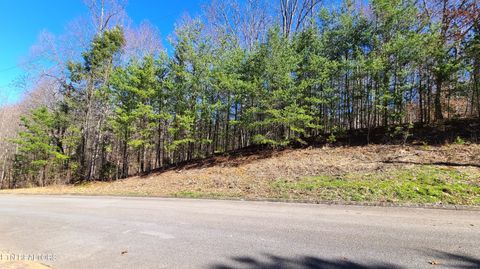 Tiny photo for 223 Burning Oaks Drive, Sevierville, TN 37876 (MLS # 1331447)