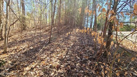 Tiny photo for 223 Burning Oaks Drive, Sevierville, TN 37876 (MLS # 1331447)