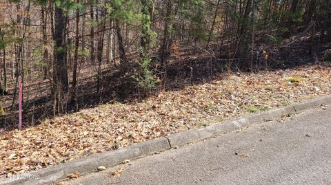 Tiny photo for 223 Burning Oaks Drive, Sevierville, TN 37876 (MLS # 1331447)