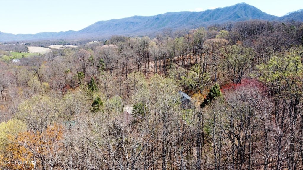 Photo of 223 Burning Oaks Drive, Sevierville, TN 37876 (MLS # 1331447)