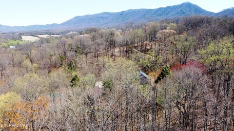 Tiny photo for 223 Burning Oaks Drive, Sevierville, TN 37876 (MLS # 1331447)