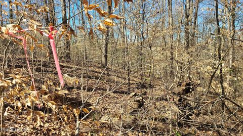 Tiny photo for 223 Burning Oaks Drive, Sevierville, TN 37876 (MLS # 1331447)