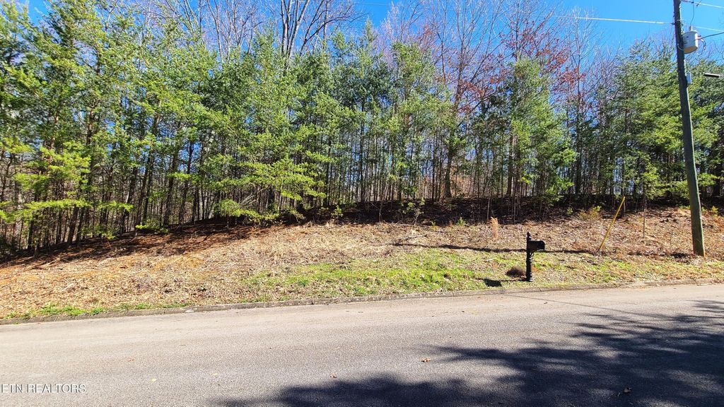 Photo of 223 Burning Oaks Drive, Sevierville, TN 37876 (MLS # 1331447)