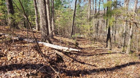 Tiny photo for 223 Burning Oaks Drive, Sevierville, TN 37876 (MLS # 1331447)