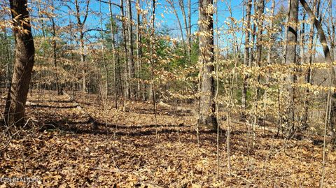 Tiny photo for 223 Burning Oaks Drive, Sevierville, TN 37876 (MLS # 1331447)