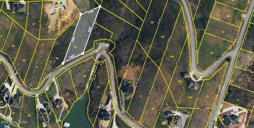 Photo of Cameron Loop Lane, LaFollette, TN 37766 (MLS # 1302081)