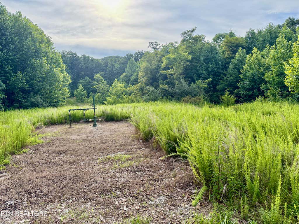 Photo of Marcum Creek Rd, Oneida, TN 37841 (MLS # 1348851)