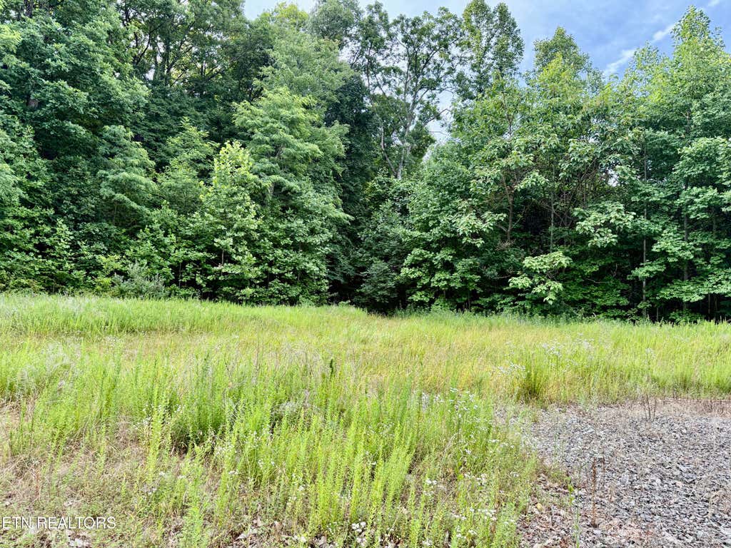 Photo of Marcum Creek Rd, Oneida, TN 37841 (MLS # 1348851)