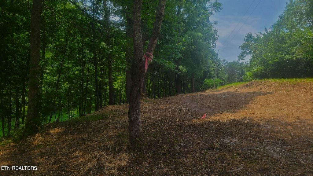 Photo of Claiborne Rd, LaFollette, TN 37766 (MLS # 1300515)
