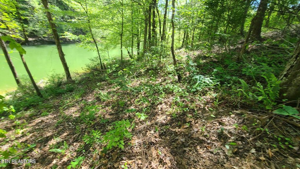 Photo of Claiborne Rd, LaFollette, TN 37766 (MLS # 1300515)