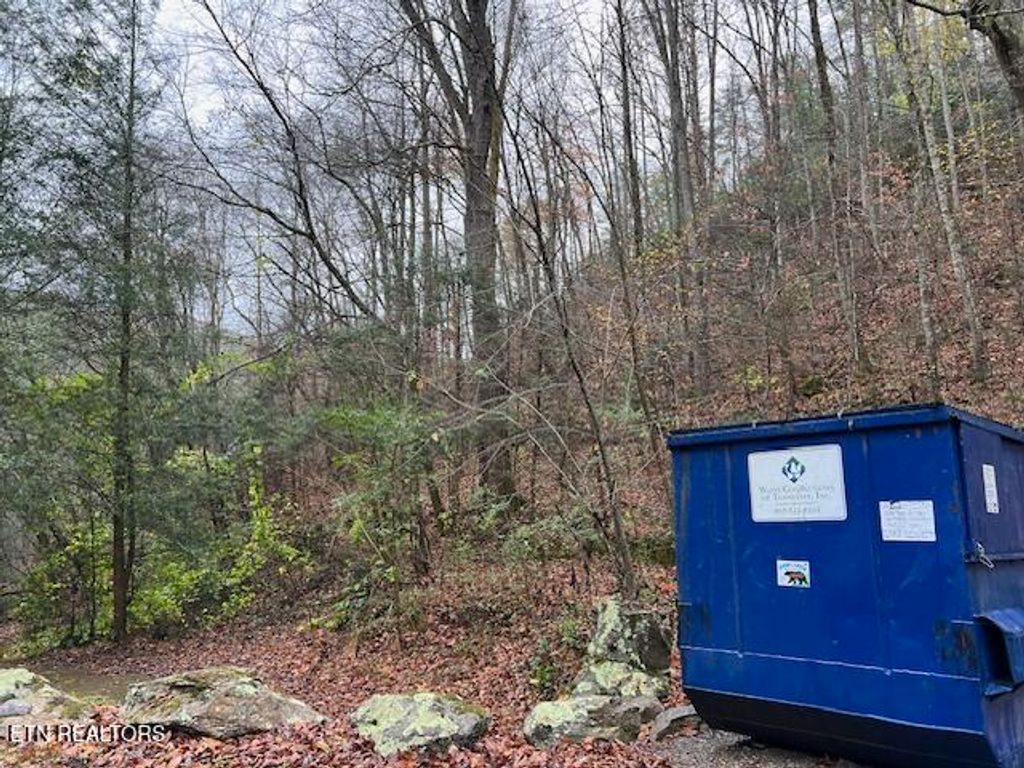 Photo of Big Buck Tr, Townsend, TN 37882 (MLS # 1283323)