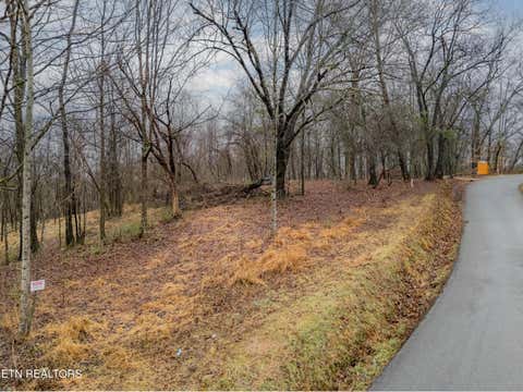Tiny photo for 479 Black Oak Rd, Clinton, TN 37716 (MLS # 1328463)