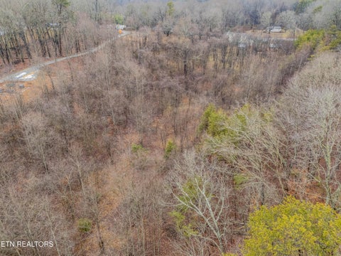 Tiny photo for 479 Black Oak Rd, Clinton, TN 37716 (MLS # 1328463)