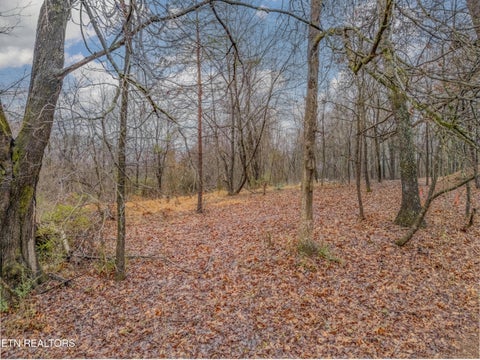 Tiny photo for 479 Black Oak Rd, Clinton, TN 37716 (MLS # 1328463)