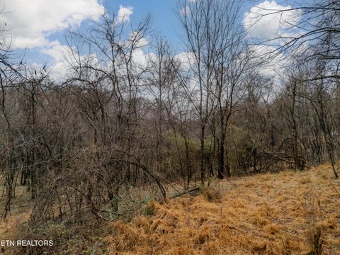 Tiny photo for 479 Black Oak Rd, Clinton, TN 37716 (MLS # 1328463)