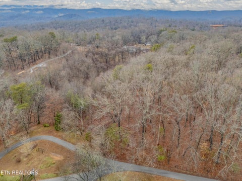 Tiny photo for 479 Black Oak Rd, Clinton, TN 37716 (MLS # 1328463)