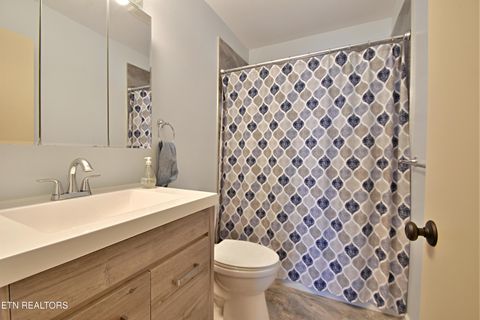 Tiny photo for 729 Owl Hollow Rd, Knoxville, TN 37923 (MLS # 1324183)