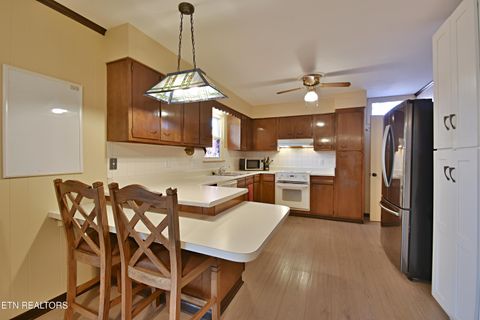 Tiny photo for 729 Owl Hollow Rd, Knoxville, TN 37923 (MLS # 1324183)