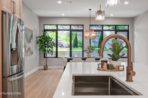 Tiny photo for 1135 Oak Chase Blvd, Lenoir City, TN 37772 (MLS # 1337425)