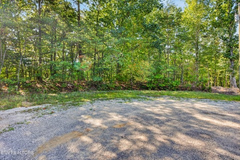 Tiny photo for 18 Tower Place, Monterey, TN 38574 (MLS # 1355588)