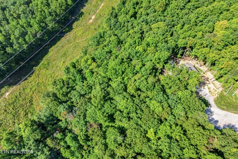 Tiny photo for 18 Tower Place, Monterey, TN 38574 (MLS # 1355588)