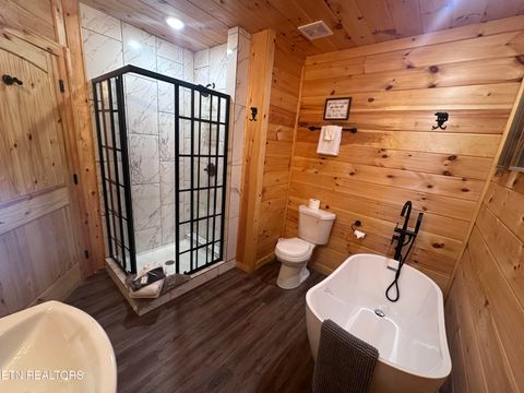 Tiny photo for 866 Cabin Creek Way, Sevierville, TN 37862 (MLS # 1317278)