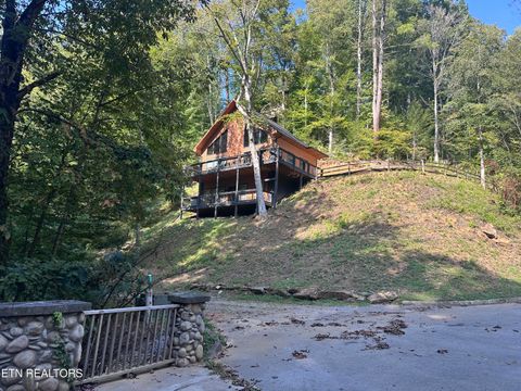 Tiny photo for 866 Cabin Creek Way, Sevierville, TN 37862 (MLS # 1317278)