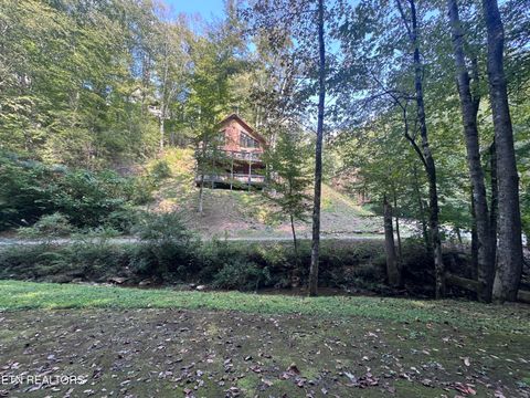Tiny photo for 866 Cabin Creek Way, Sevierville, TN 37862 (MLS # 1317278)