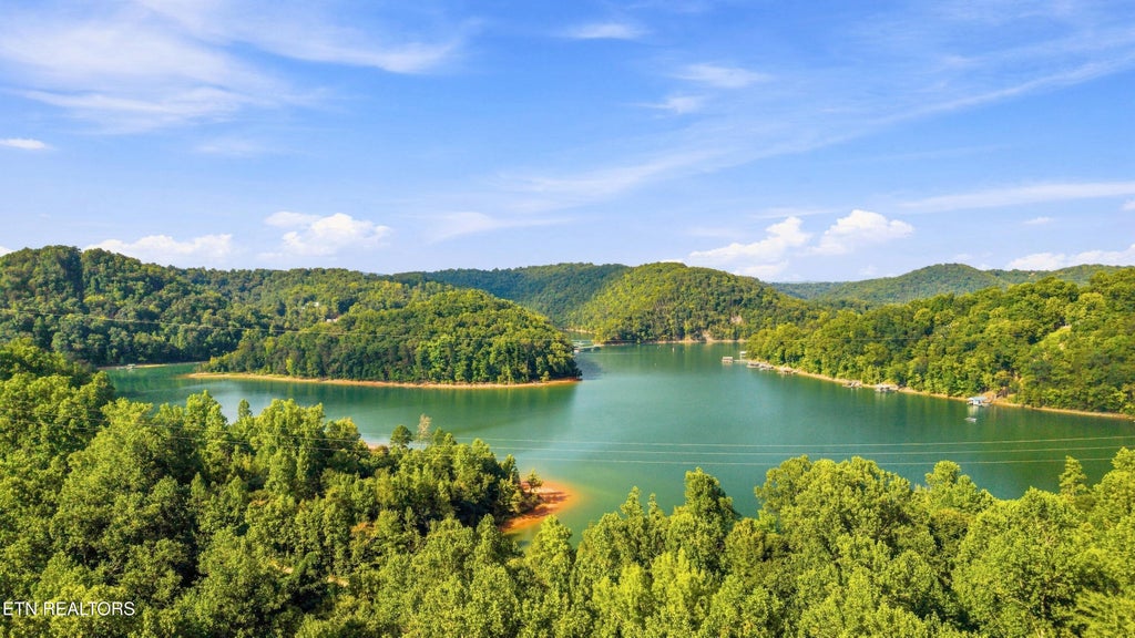 Photo of 154 White Oak Lane, Caryville, TN 37714 (MLS # 1354250)